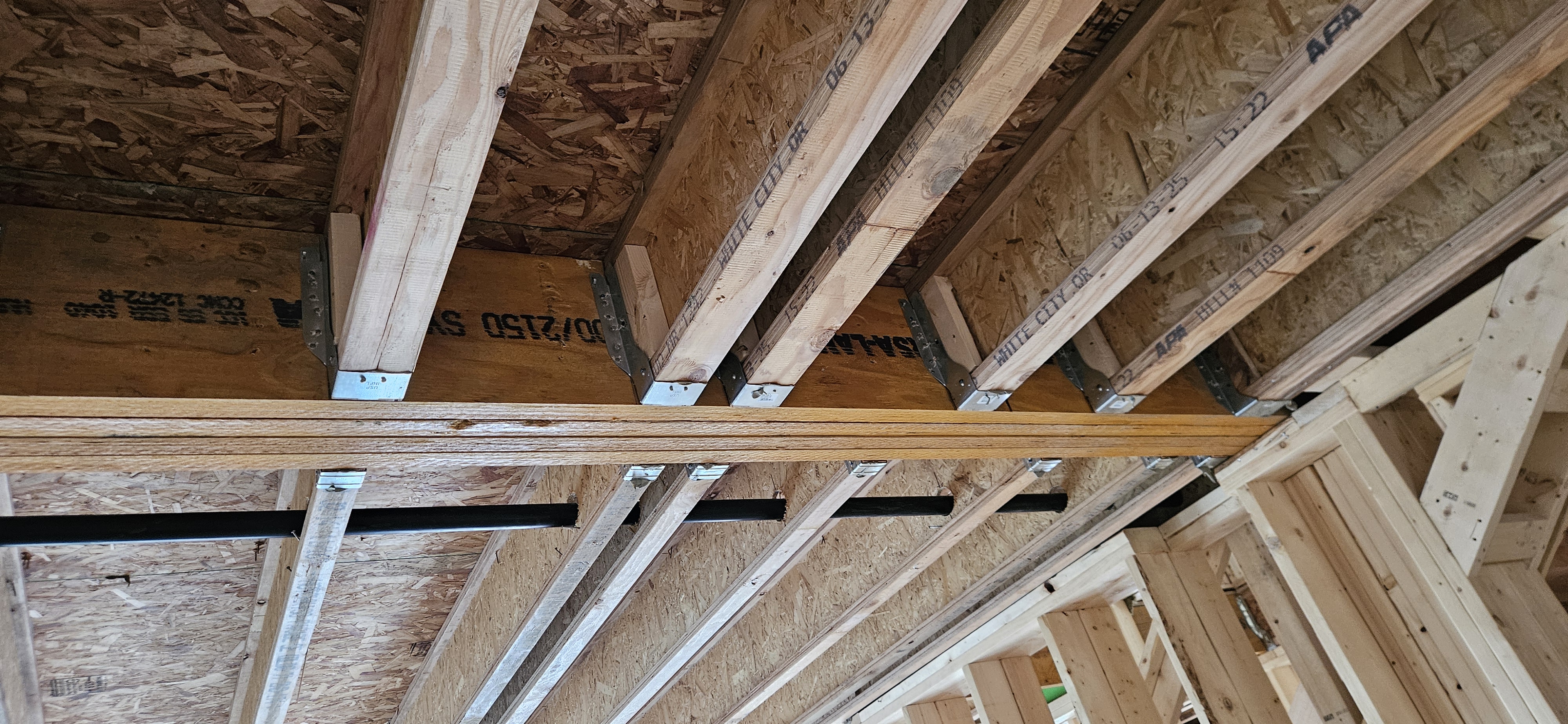 Hotchkiss showcase 10