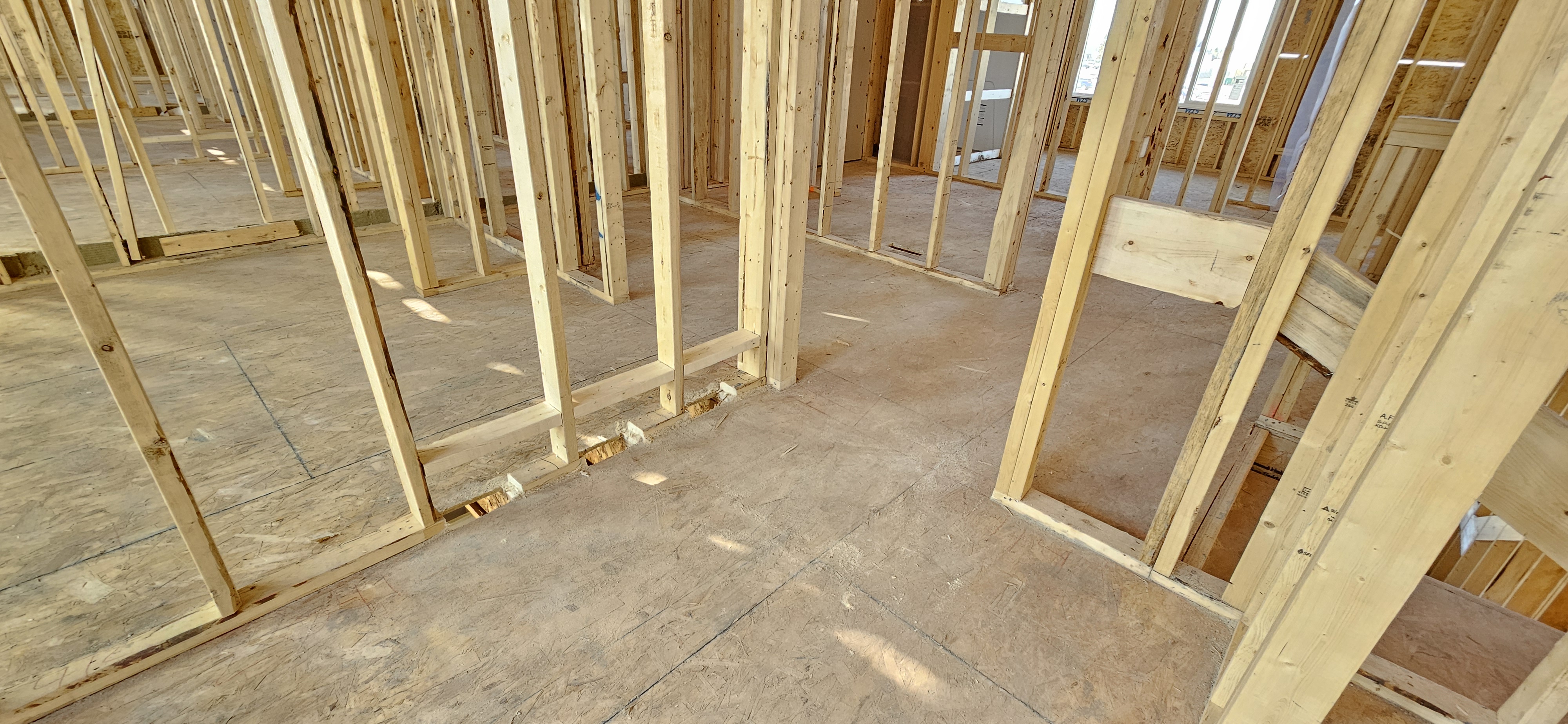 Whitehorn showcase 5