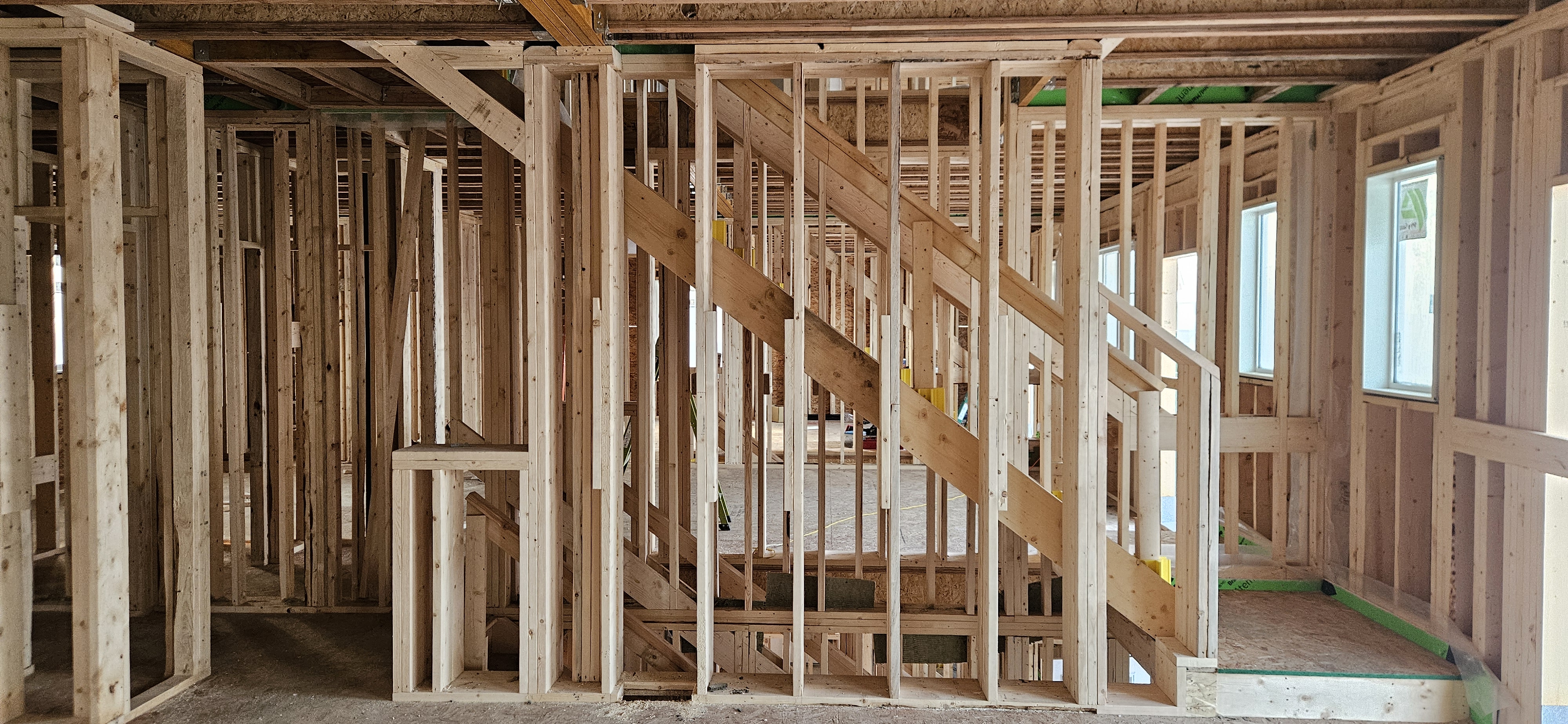 Back Framing showcase 20