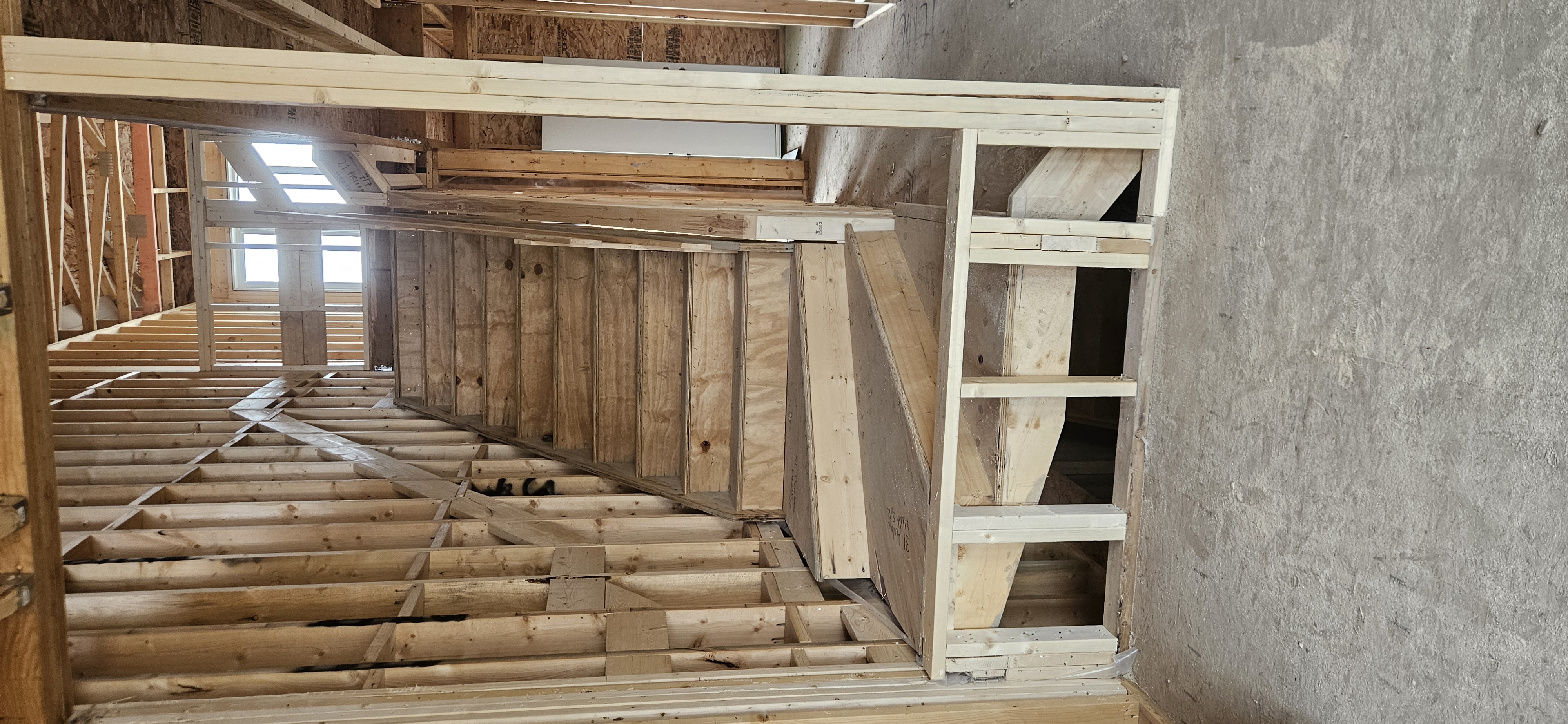 Back Framing showcase 37