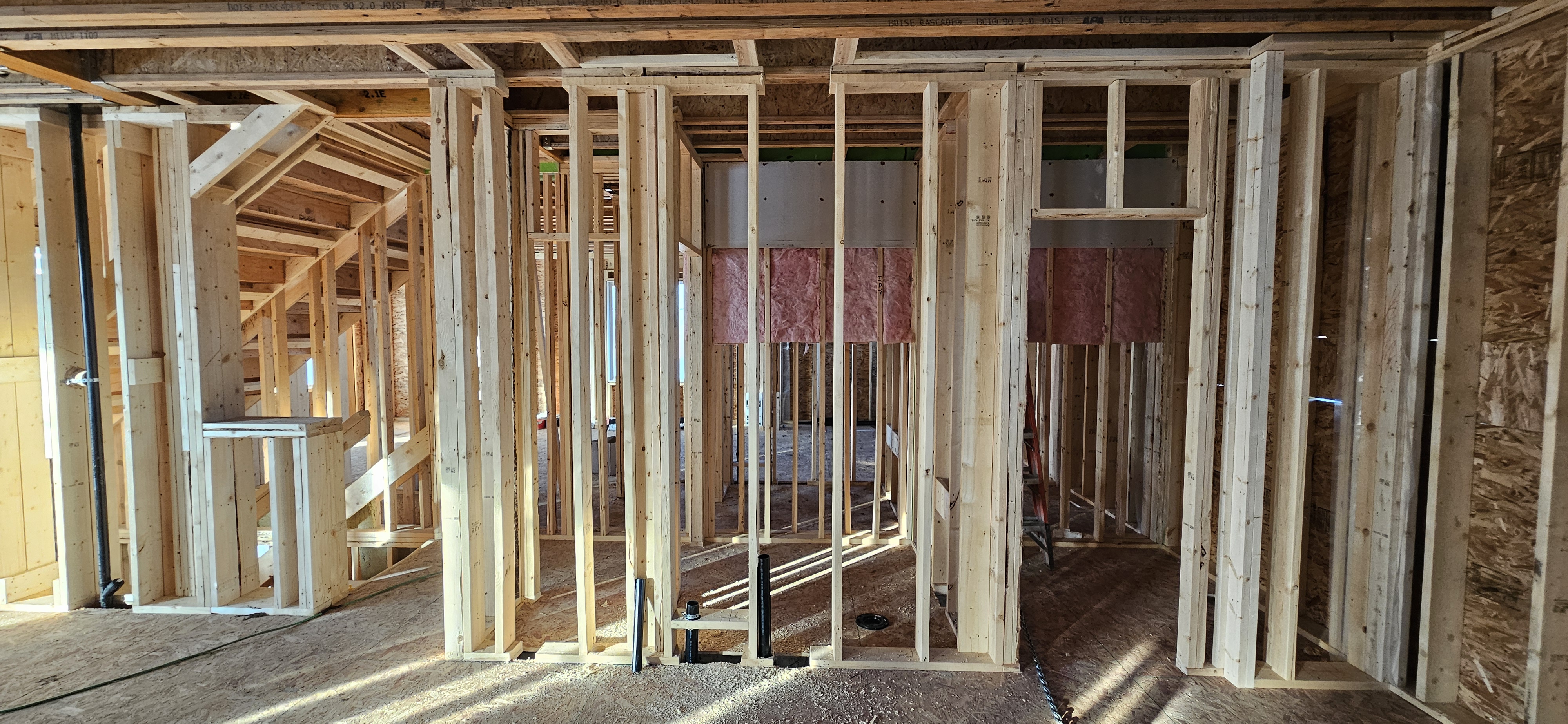 Back Framing showcase 39