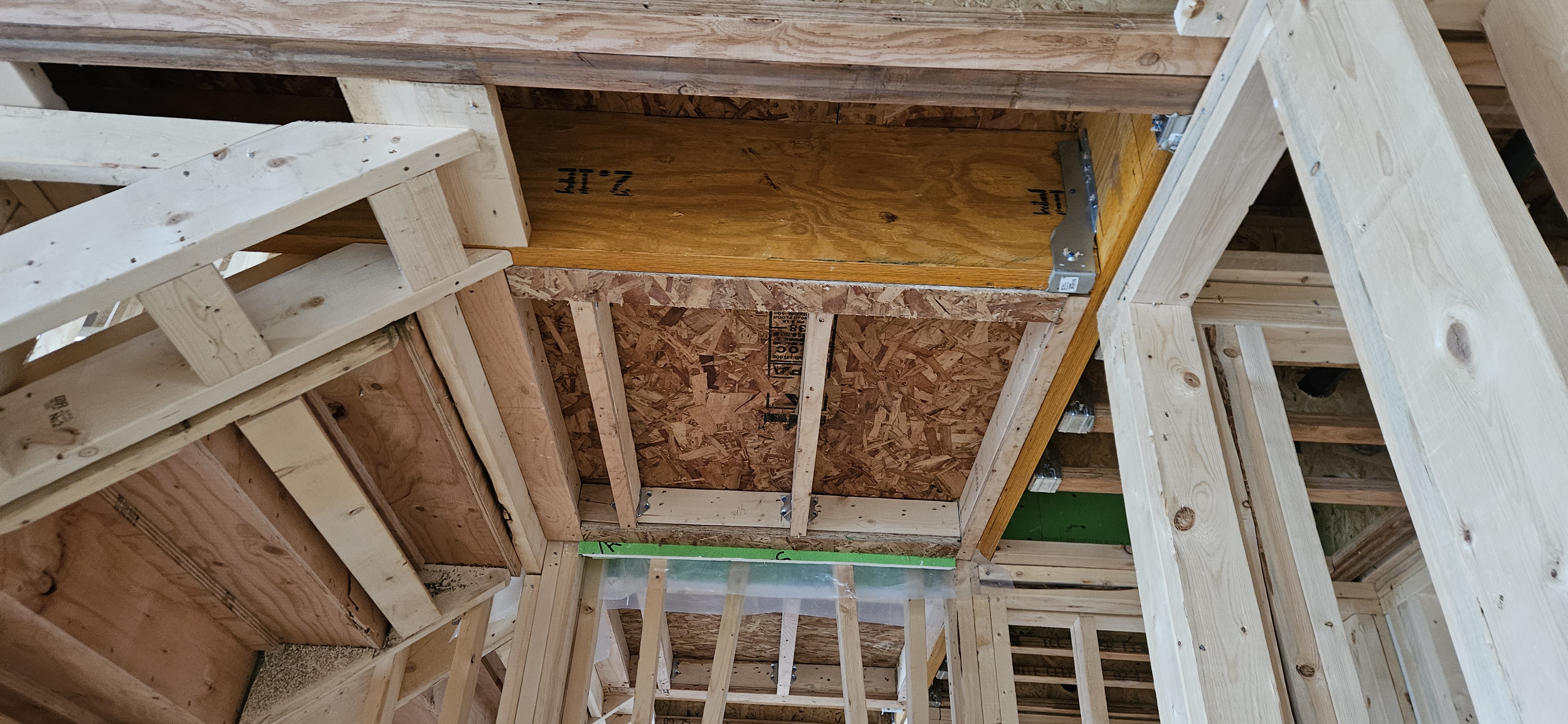 Back Framing showcase 50